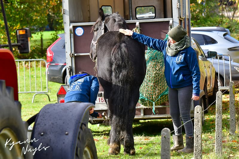 Sfeerbeeld van het evenement