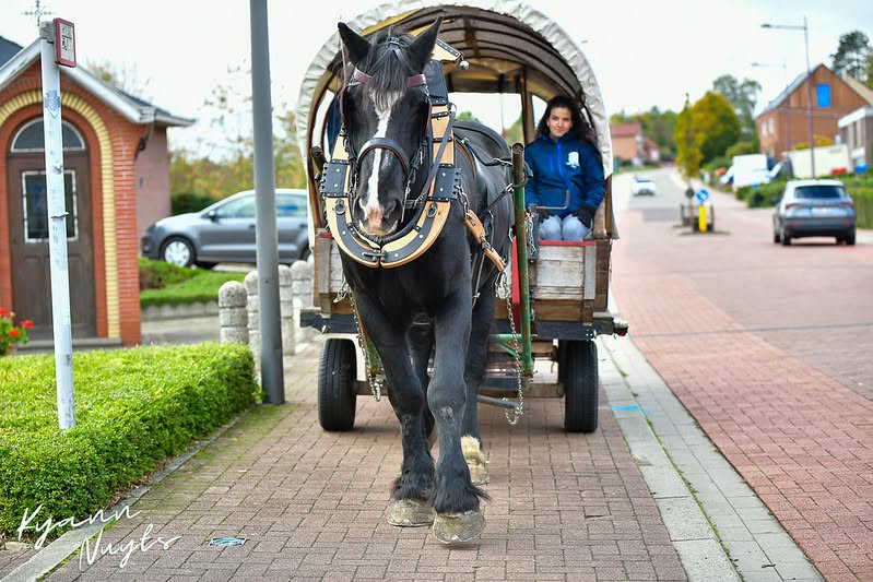 Sfeerbeeld van het evenement