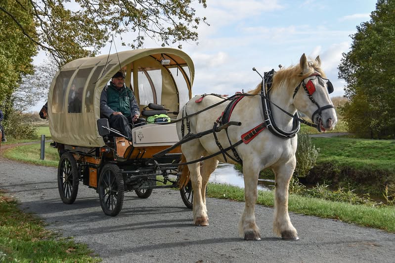 Sfeerbeeld van het evenement