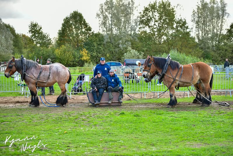 Sfeerbeeld van het evenement