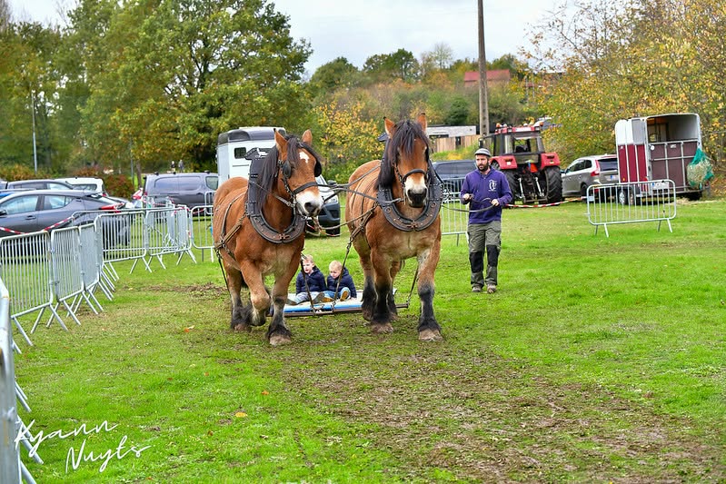 Sfeerbeeld van het evenement