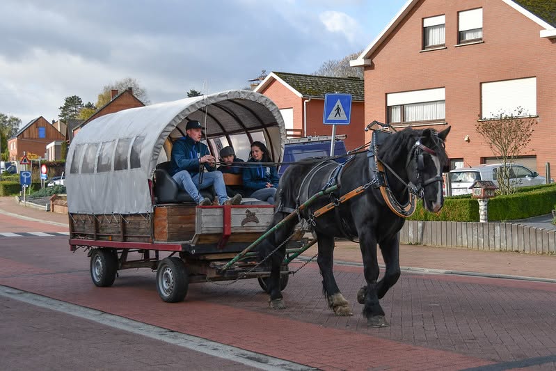Sfeerbeeld van het evenement