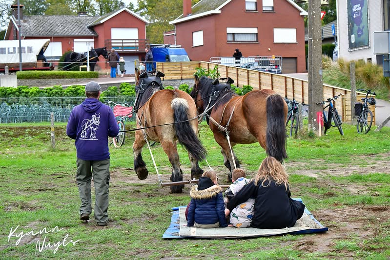 Sfeerbeeld van het evenement