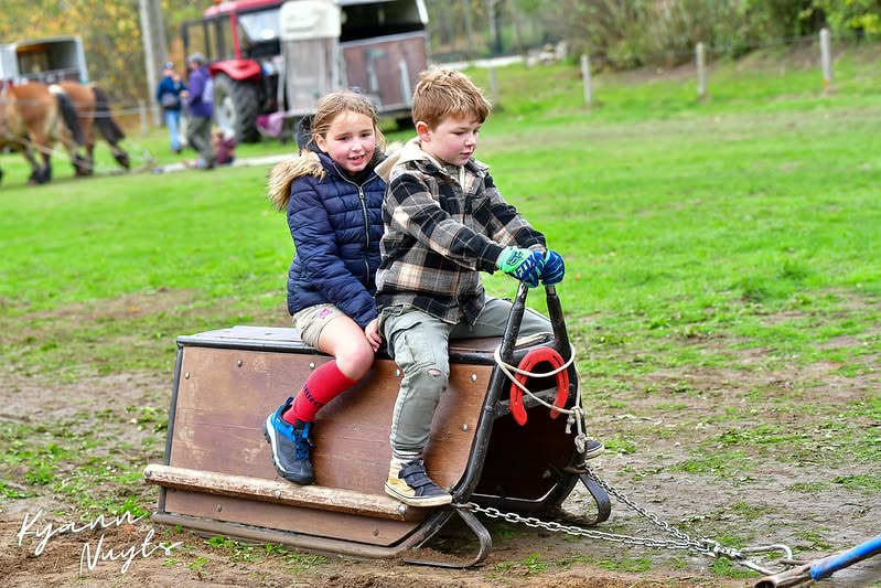 Sfeerbeeld van het evenement