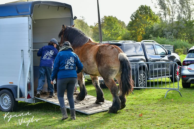 Sfeerbeeld van het evenement