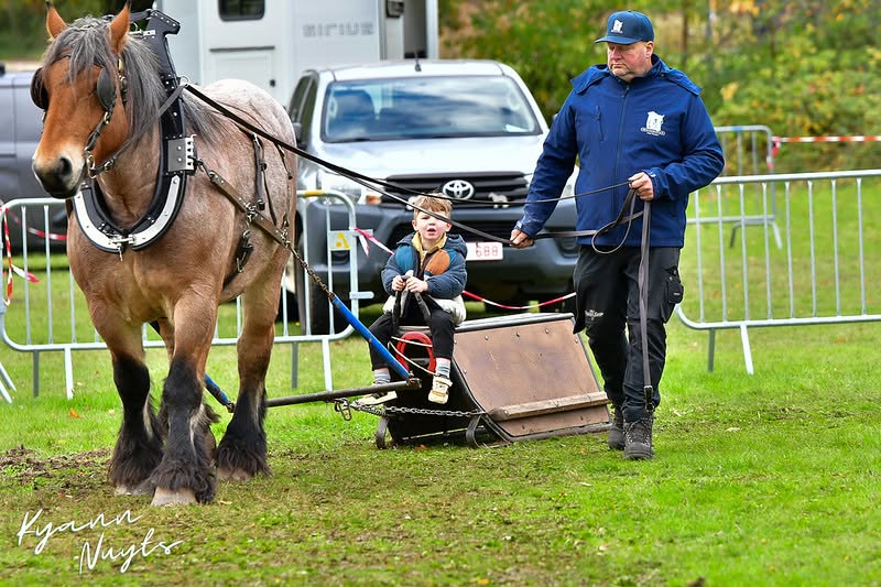 Sfeerbeeld van het evenement