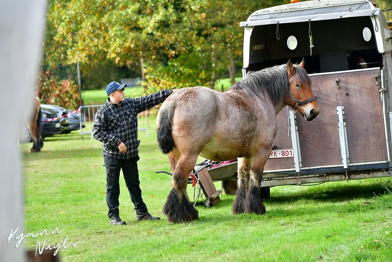 Sfeerbeeld van het evenement