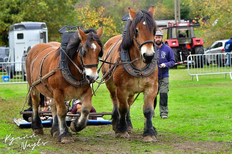 Sfeerbeeld van het evenement