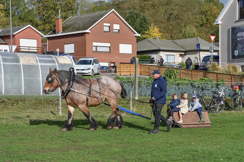 Sfeerbeeld van het evenement