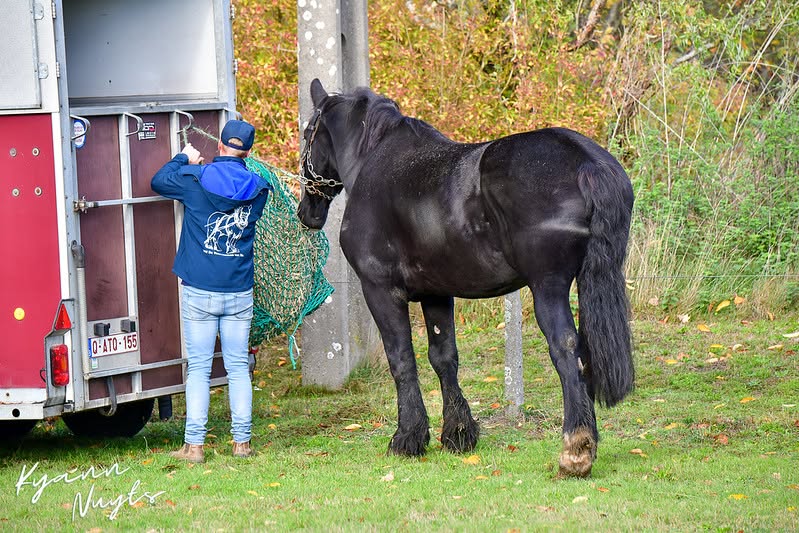 Sfeerbeeld van het evenement