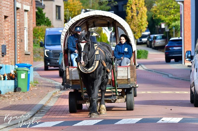 Sfeerbeeld van het evenement