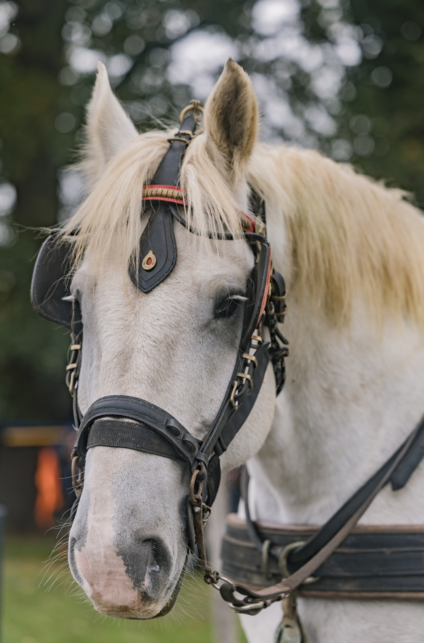 Sfeerbeeld van het evenement