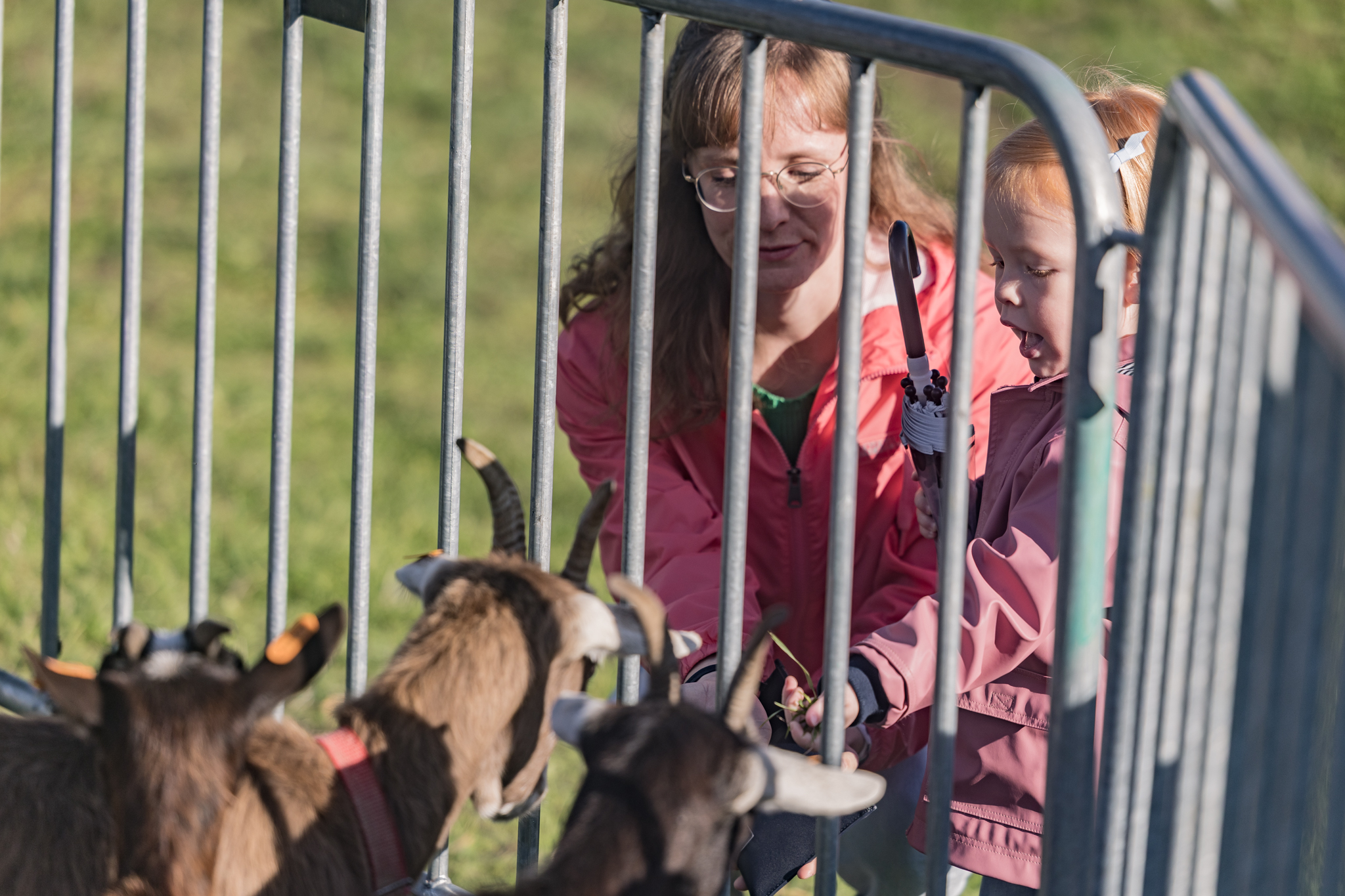 Sfeerbeeld van het evenement