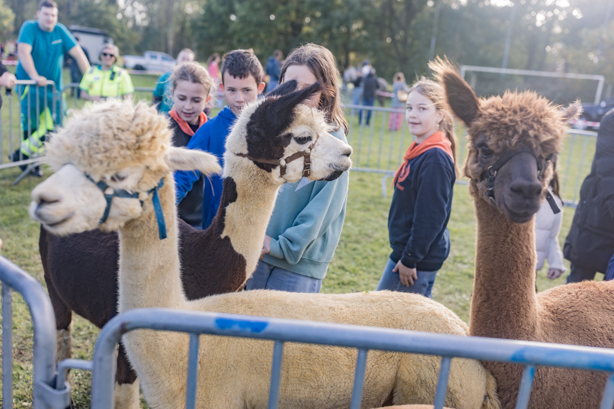 Sfeerbeeld van het evenement