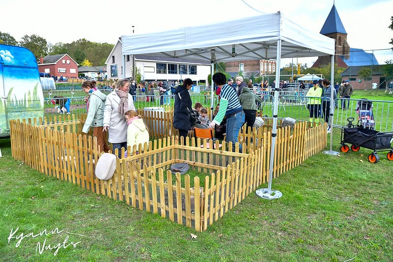 Sfeerbeeld van het evenement