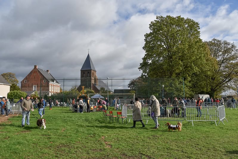 Sfeerbeeld van het evenement