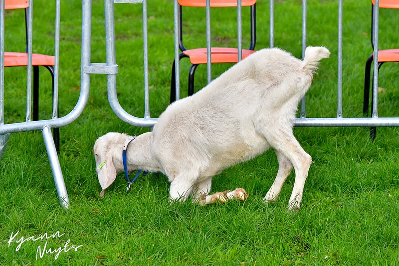 Sfeerbeeld van het evenement