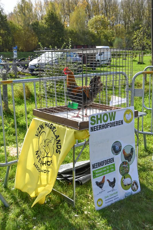 Sfeerbeeld van het evenement