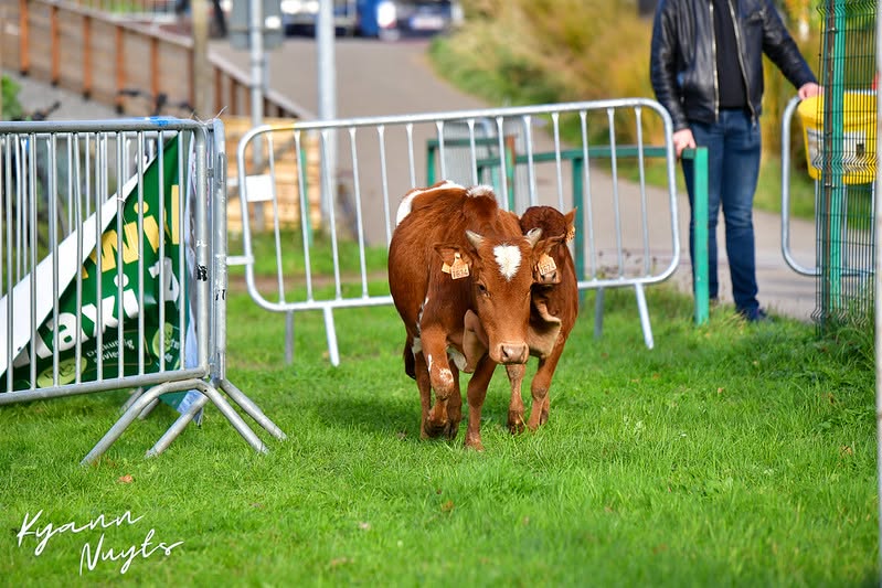 Sfeerbeeld van het evenement
