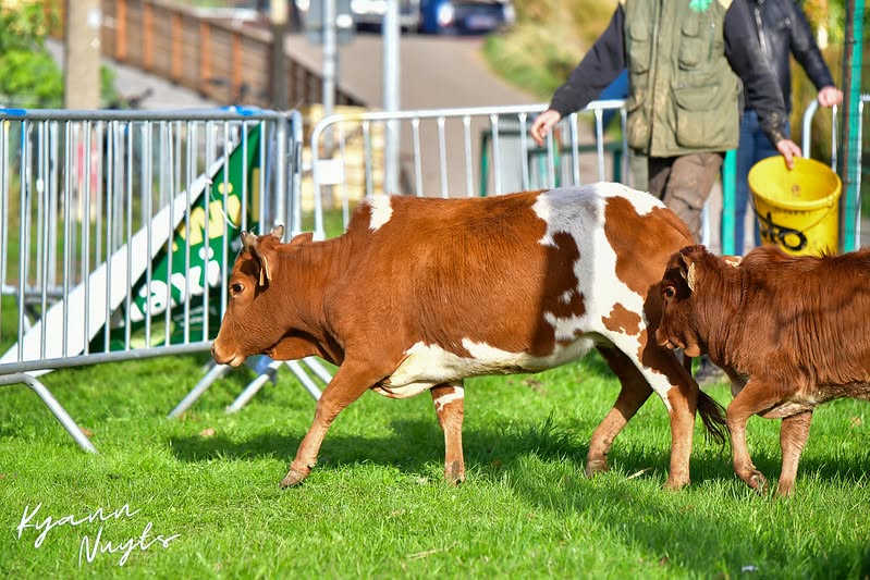 Sfeerbeeld van het evenement