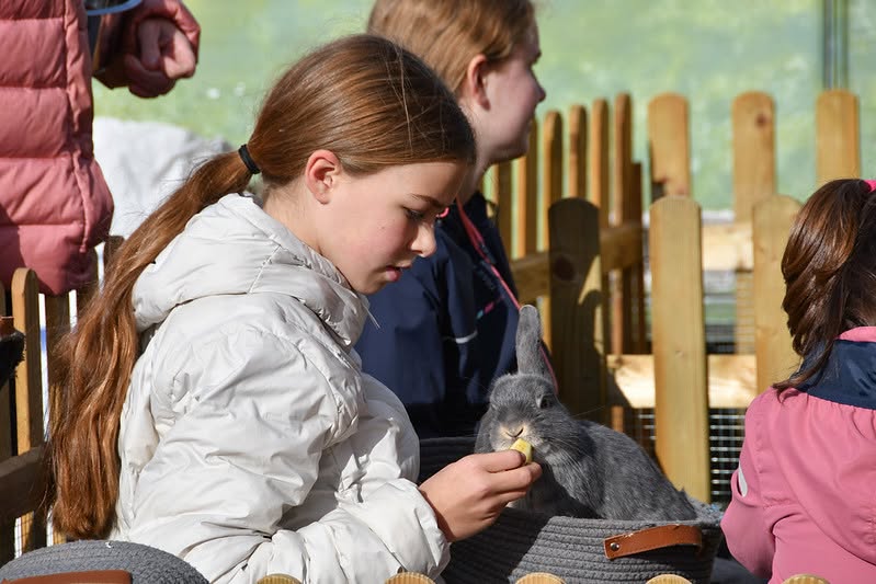 Sfeerbeeld van het evenement