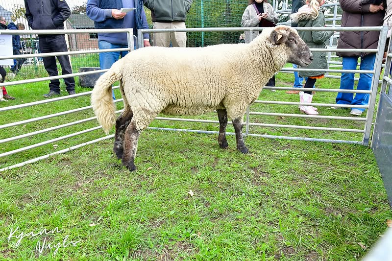 Sfeerbeeld van het evenement