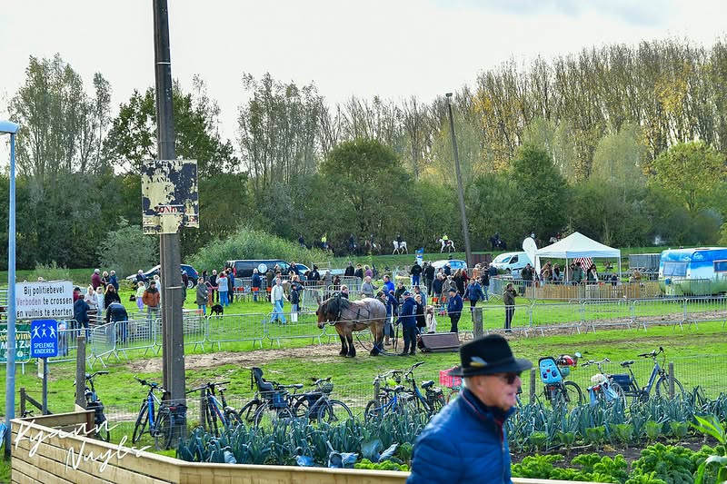 Sfeerbeeld van het evenement